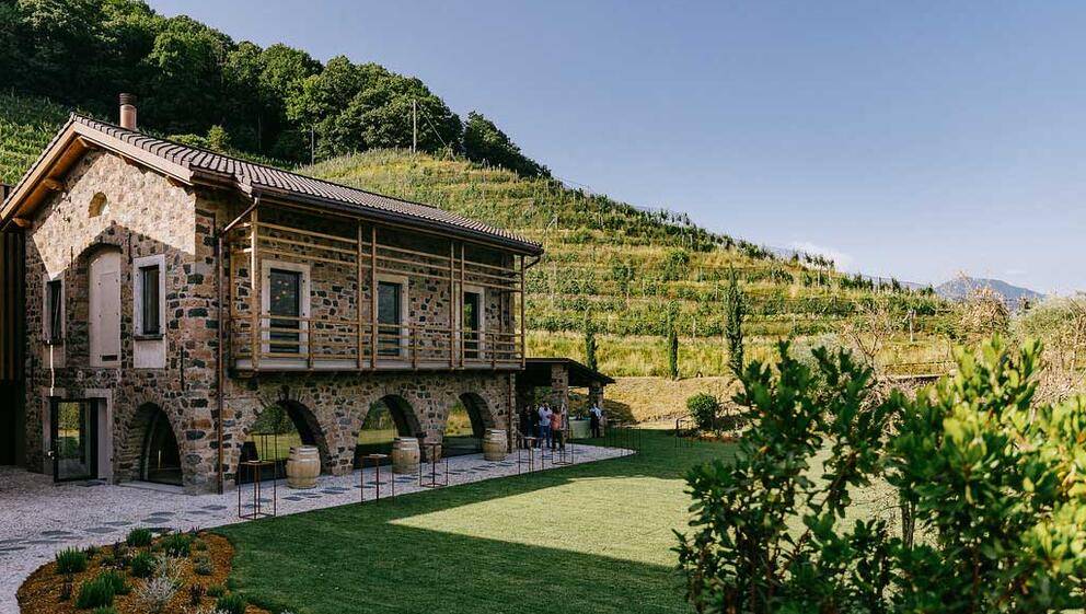 Laissez-vous envouter par l'œnotourisme suisse