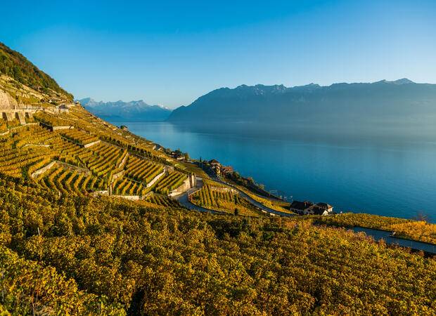 Lavaux Weinberge, Hauptpreis des 2. Gewinnspiels von Securitas Direct